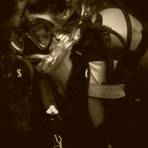 Meet your Posher, Sharon - Picture 3 of 4